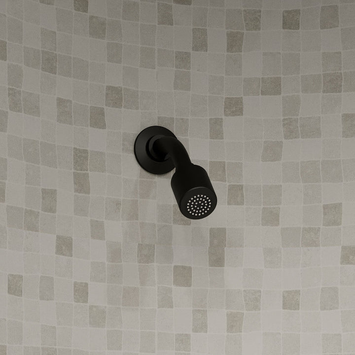 Comprar REC-03-EB REGADERA BRAZO Y CHAPETON ANTICALCAREO EBANO. Pisos y azulejos en México