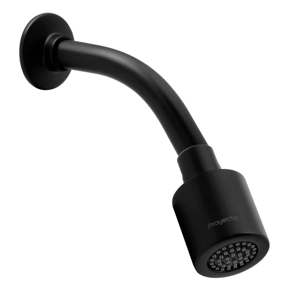 Comprar REC-03-EB REGADERA BRAZO Y CHAPETON ANTICALCAREO EBANO. Pisos y azulejos en México