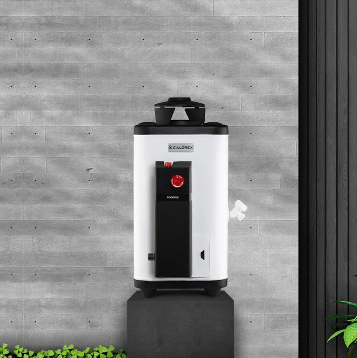 Comprar CALOREX PODERUS DE PASO 6 L/MIN. GAS LP. Pisos y azulejos en México